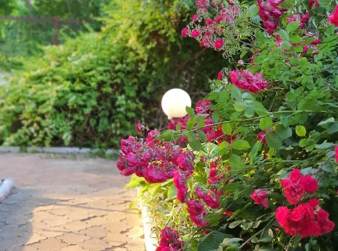 Gasthof Decebal Eforie Nord