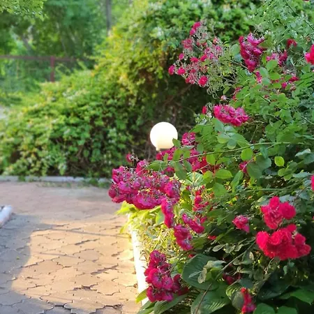 Pensiune Decebal Eforie Nord