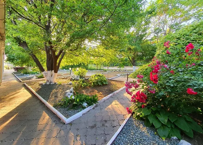 Decebal 3* 艾福雷诺德